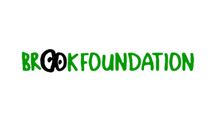 Brook Foundation